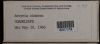 Image Associated With the Occurence